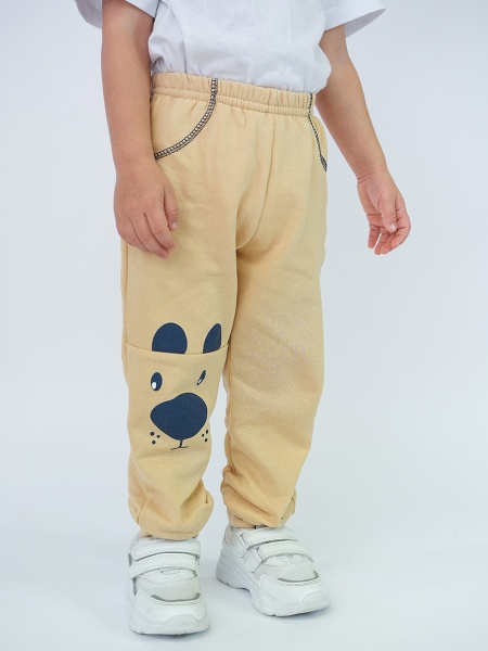 картинка 880017 Брюки  Котмаркот