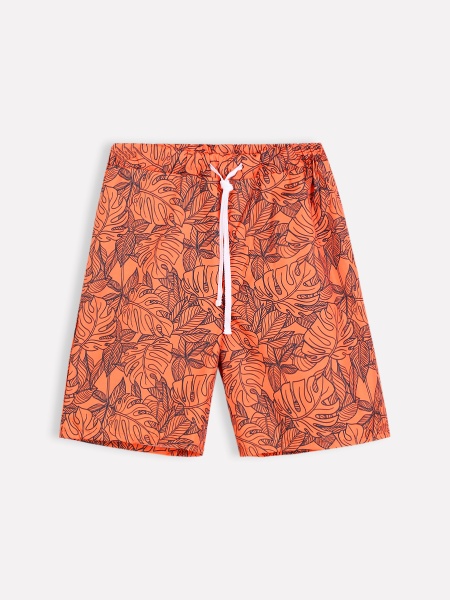 картинка 536882894 Шорты (плавки) от Котмаркот